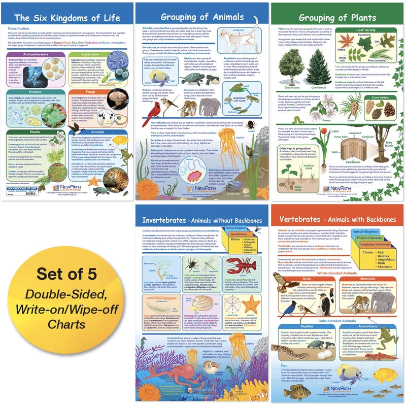 New Path Learning NewPath Learning - 94-3502 The Six Kingdoms Bulletin Board Charts, 12 x 18 Inch, Full Color, Set of 5 - Image 1